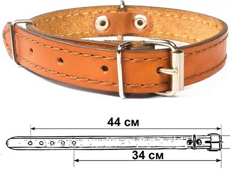 Ошейник "Стандарт" однослойный простой 20мм 46см цвета в ассортименте