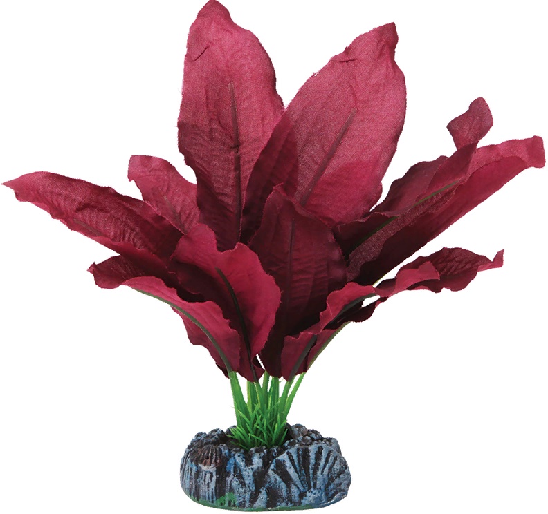 Растение шелковое "Криптокорина"