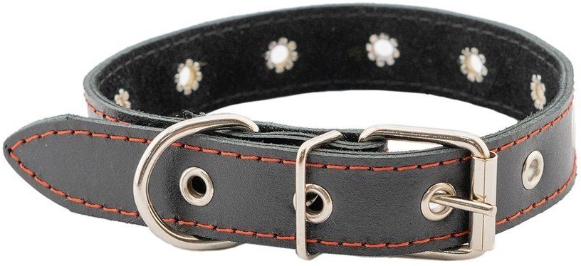 Ошейник кожаный ЧИП 30мм 2х-слойный безразмерный (до 52см) простроченный (натур.кожа) черный