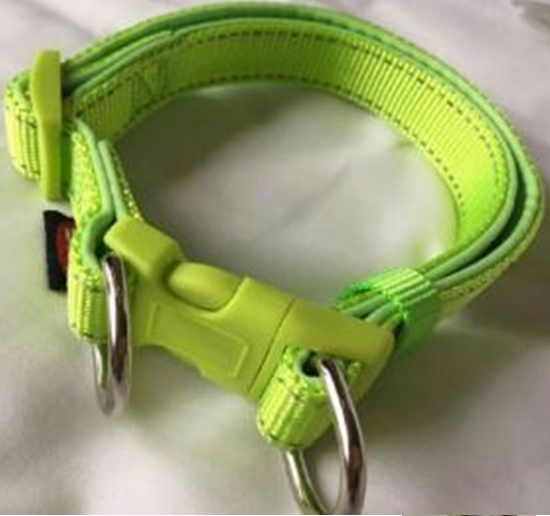 Ошейник для собак с 2-мя кольцами Zichen