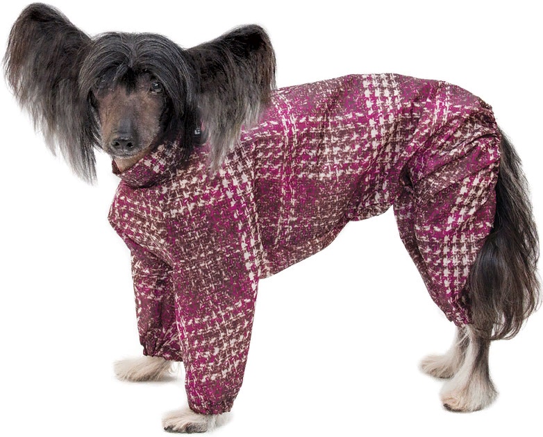 Комбинезон-дождевик Китайская хохлатая 36см