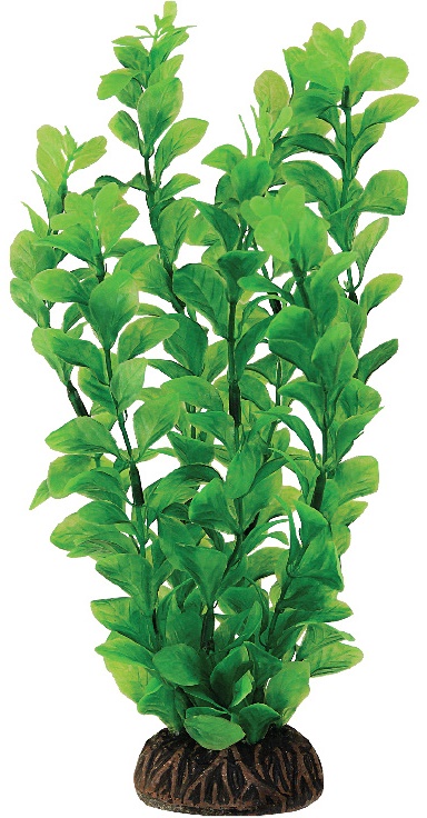 Растение "Людвигия" 100мм, (пакет)