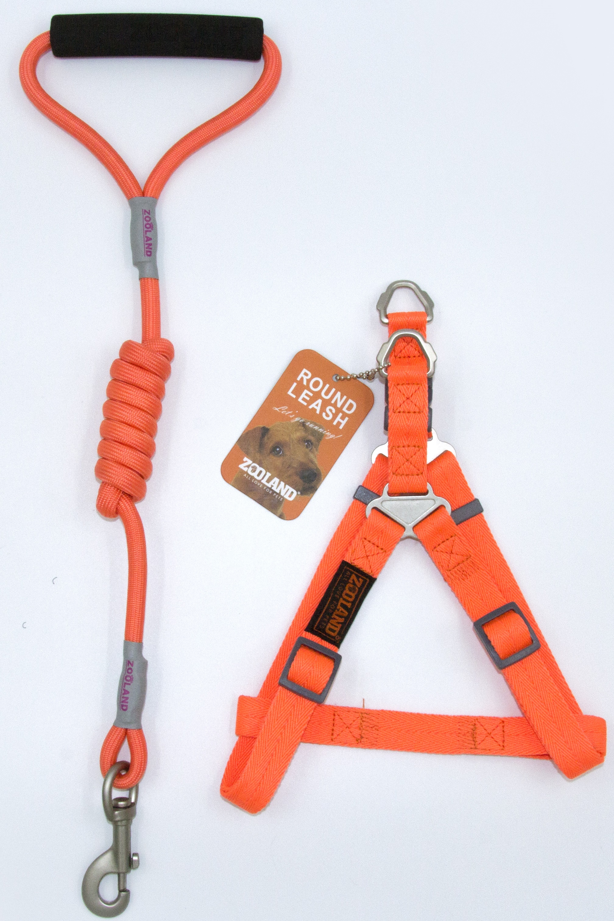 Набор поводок + шлейка