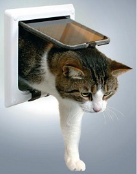 Дверца для кошки (15,8см х 14,7см), с 4 функциями,белая