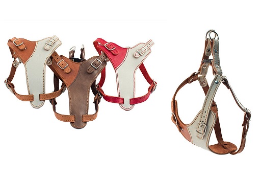 Шлейка быстросъёмная мини "Ева Брайт" цвет,мягкая кожа,обхв. шеи 24-32см,обхв. груди 34-44см