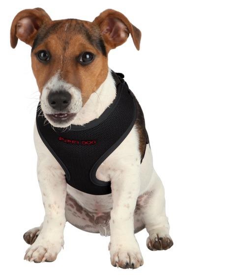 Шлейка д/щенков с поводком, 33-47см/10мм, 2м, черный