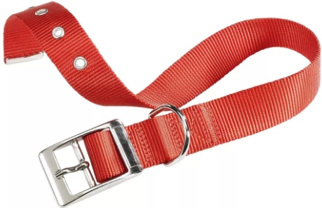 Ошейник CLUB CF25/53  красный