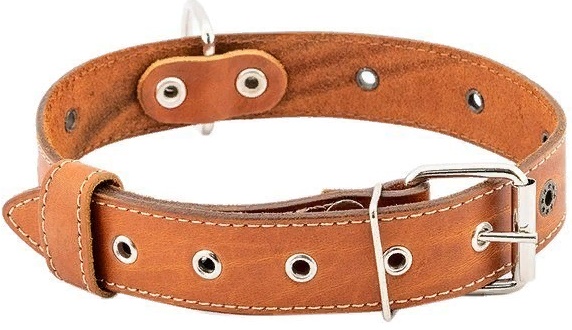 Ошейник простой 30 мм 1слой "Стандарт" безразмерный до 62см рыжий