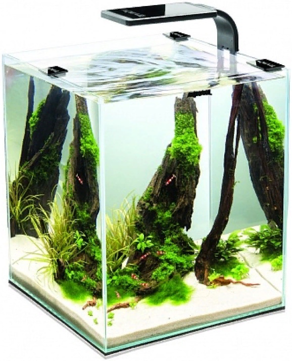 AQUAEL SHRIMP SET SMART PLANT ll 20 (черный), Креветкариум с LED освещением (6 вт)