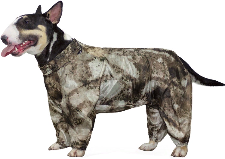 Комбинезон-дождевик "Бультерьер", 48см