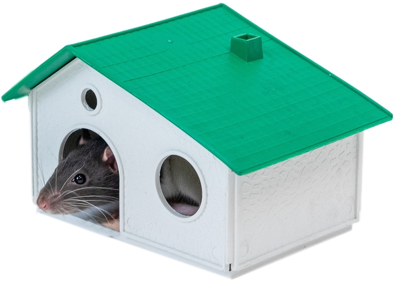 Домик для грызунов сборный (пластик)