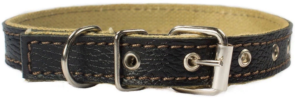 Ошейник брезентовый 20мм на коже обхват 35-45см «Cotton»