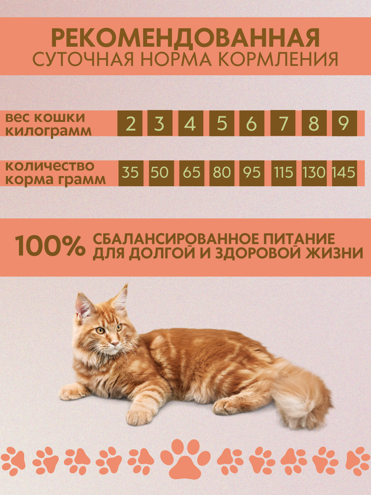 BRAVADI для взрослых кошек с ягненком и рисом