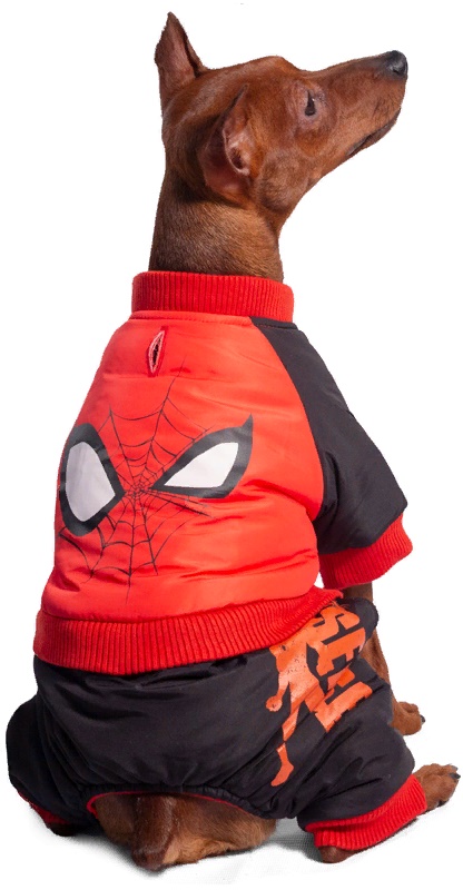 Комбинезон зимний Marvel Человек-паук