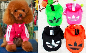 Толстовка Адидок д/собак