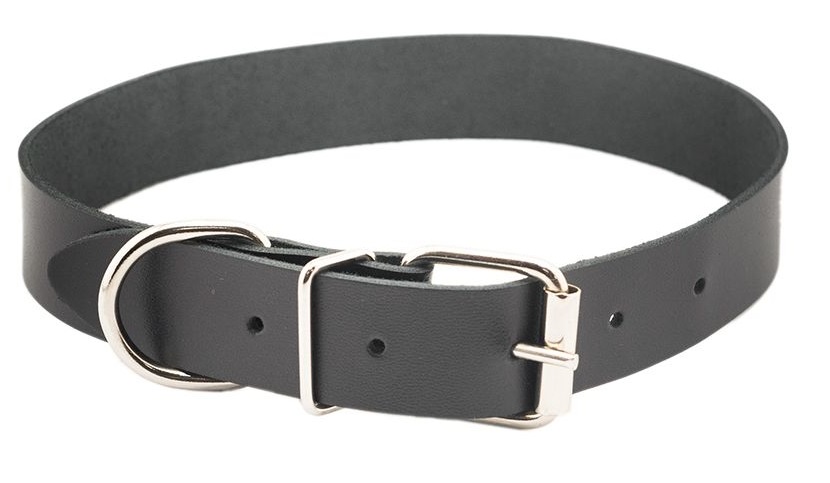 Ошейник "ЧИП" 25мм, натуральная кожа, обхват 45-57см