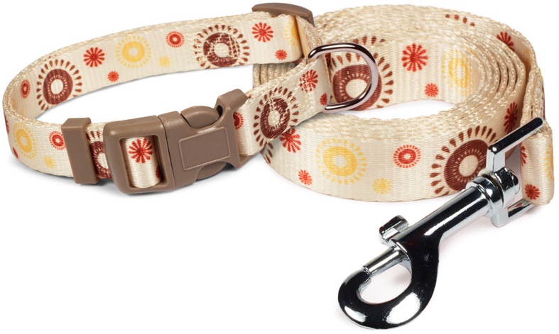 Комплект ошейник и поводок нейлоновый