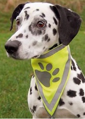 Бандана светоотраж