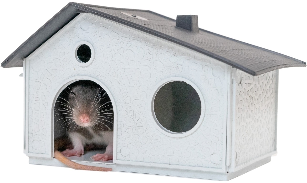 Домик для грызунов сборный (пластик)