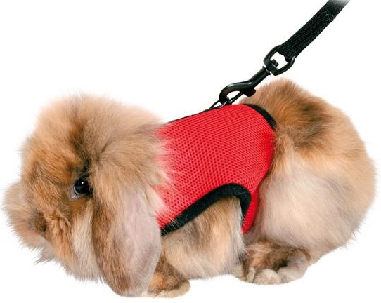 Шлейка-жилетка для грызунов