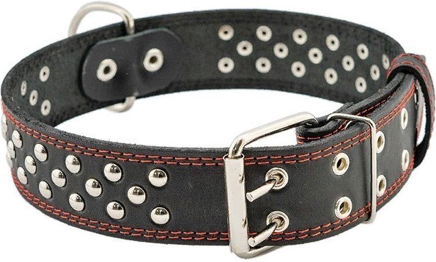 Ошейник однослойный клёпаный «Стандарт» 45мм 55-70см