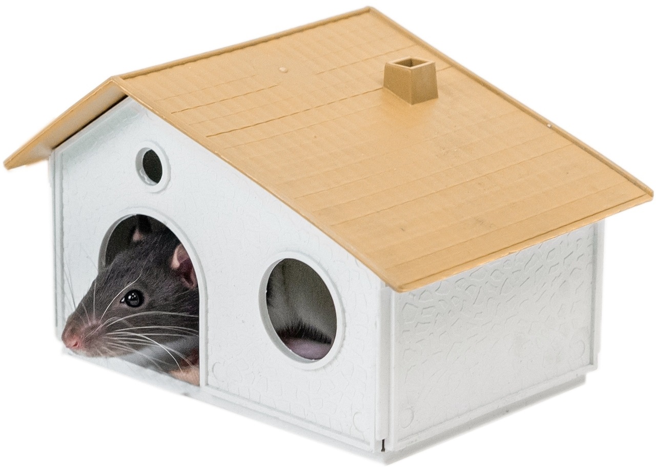 Домик для грызунов сборный (пластик)