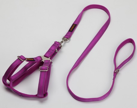 Шлейка с поводком для собак DogMate