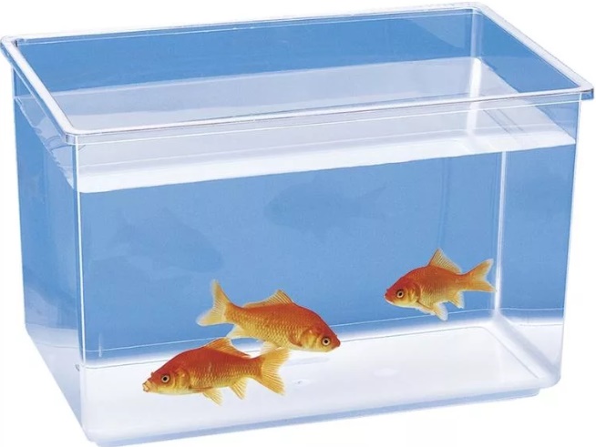 Аквариум отсадник без крышки GEO Medium для рыб 23,2*15,3*16,6см 2,5л