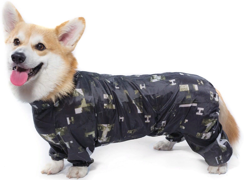 Комбинезон зимний "Корги", 49см