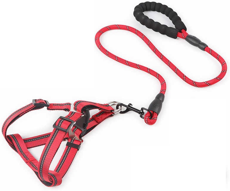 Набор шлейка+поводок для собак с круглой ручкой