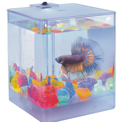 Аквариум "Aqua Box Betta" 1,3л 12х12х14,5см