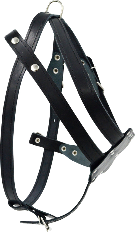 Шлейка для собак 0860 1сл 26 мм до 100см черная