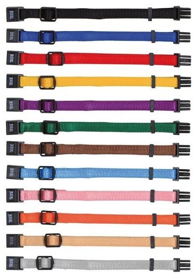 Ошейник для щенка, 22-35см/10мм, нейлон, (1шт)