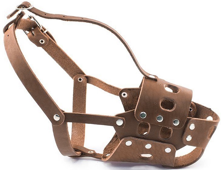 Намордник вырубной №Д-3, застежка-ошейник цвета в ассортименте