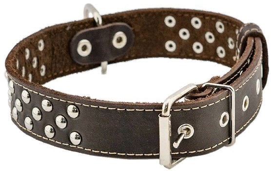 Ошейник однослойный клёпаный «Стандарт» 35мм 54-66см цвета в ассортименте