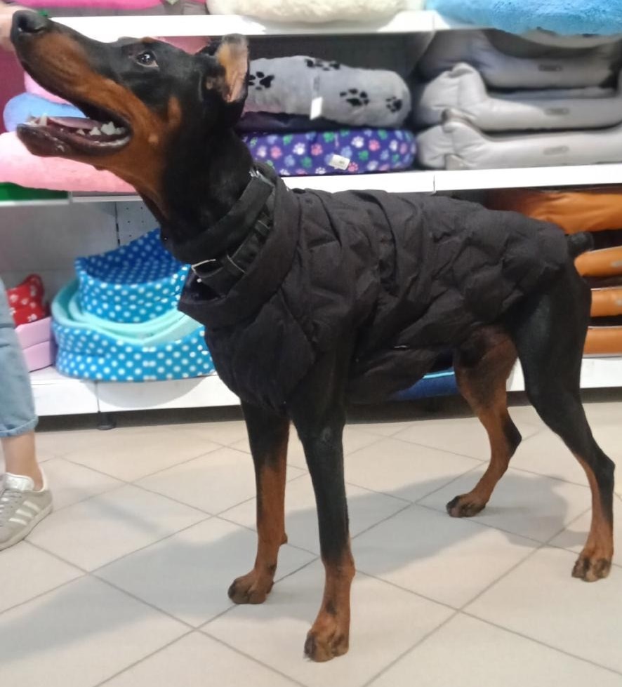 Бесшовный пуховик зимний Лыжник
