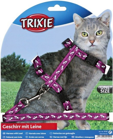 Шлейка с поводком для кошки "Черепа и кости", нейлон