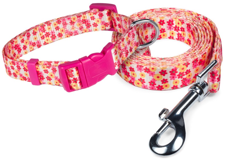 Комплект ошейник и поводок нейлоновый