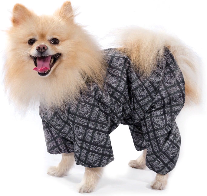 Комбинезон-дождевик Шпиц  26см