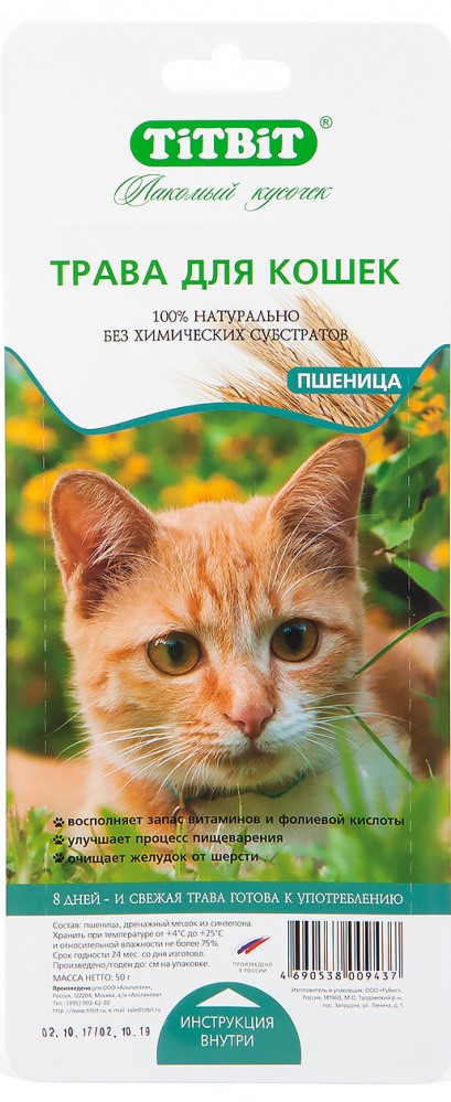Трава для кошек пшеница