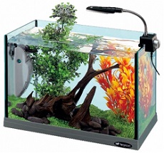 Аквариум CAYMAN 40 OPEN 21 л.