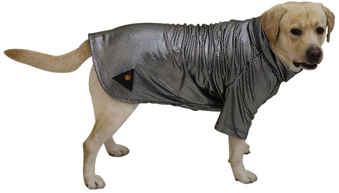 Попона для собак термо белье