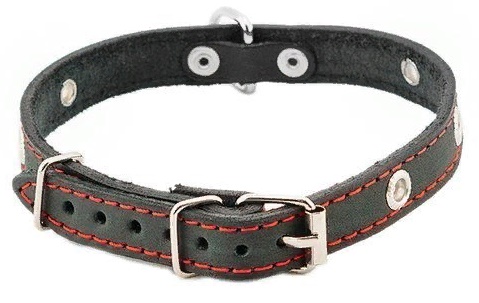 Ошейник "Стандарт" однослойный 20мм безразмерный до 44см цвета в ассортименте
