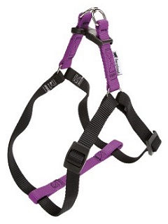 Шлейка EASY COLOURS P LARGE фиалковая