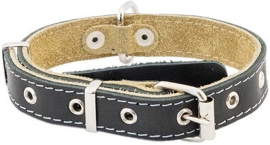 Ошейник кожаный ECO серия "ДРУГ", язычок, простроченный