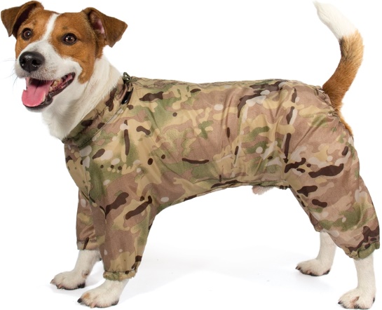 Комбинезон-дождевик "Джек Рассел терьер", 30см