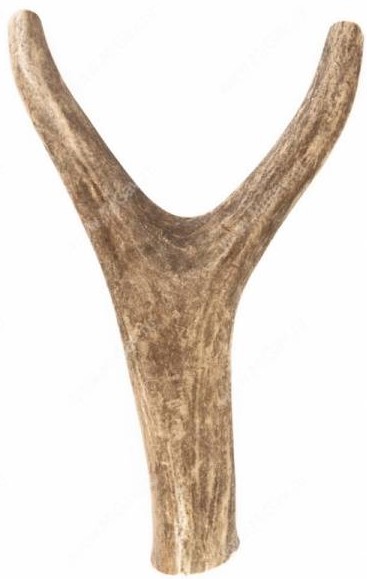 Рога оленя размер L