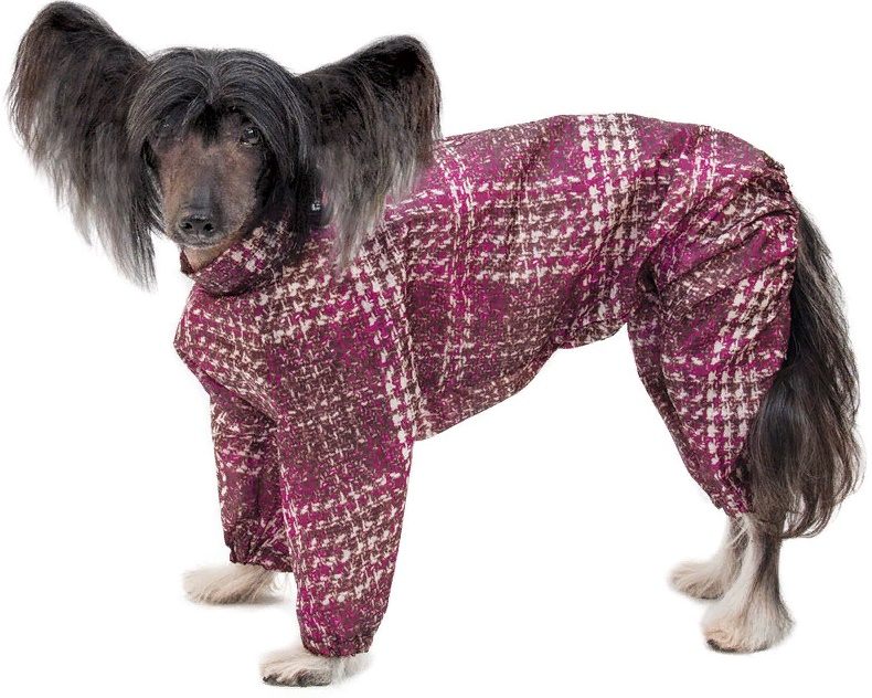 Комбинезон демисезонный "Китайская хохлатая", 36см