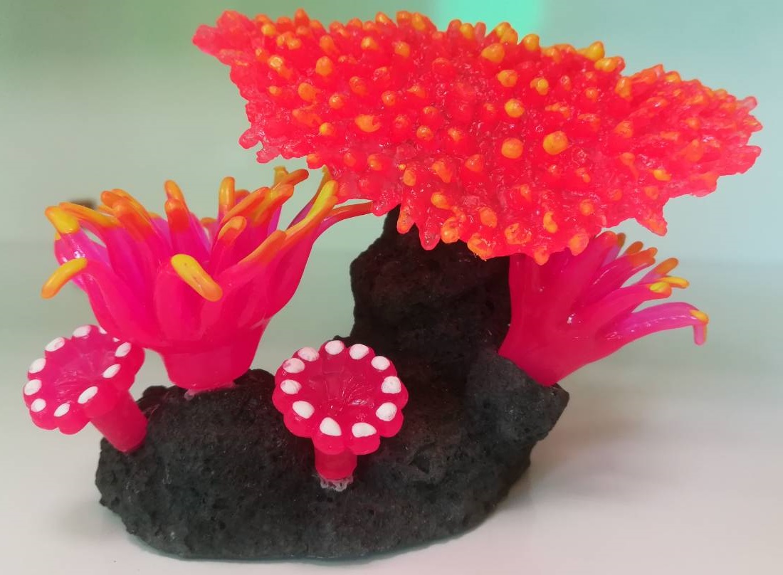 Аквадекор коралл 12*10*10см