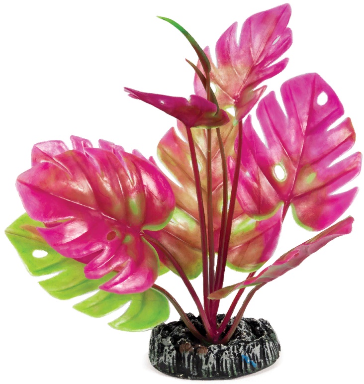 Растение "Монстера", 200мм